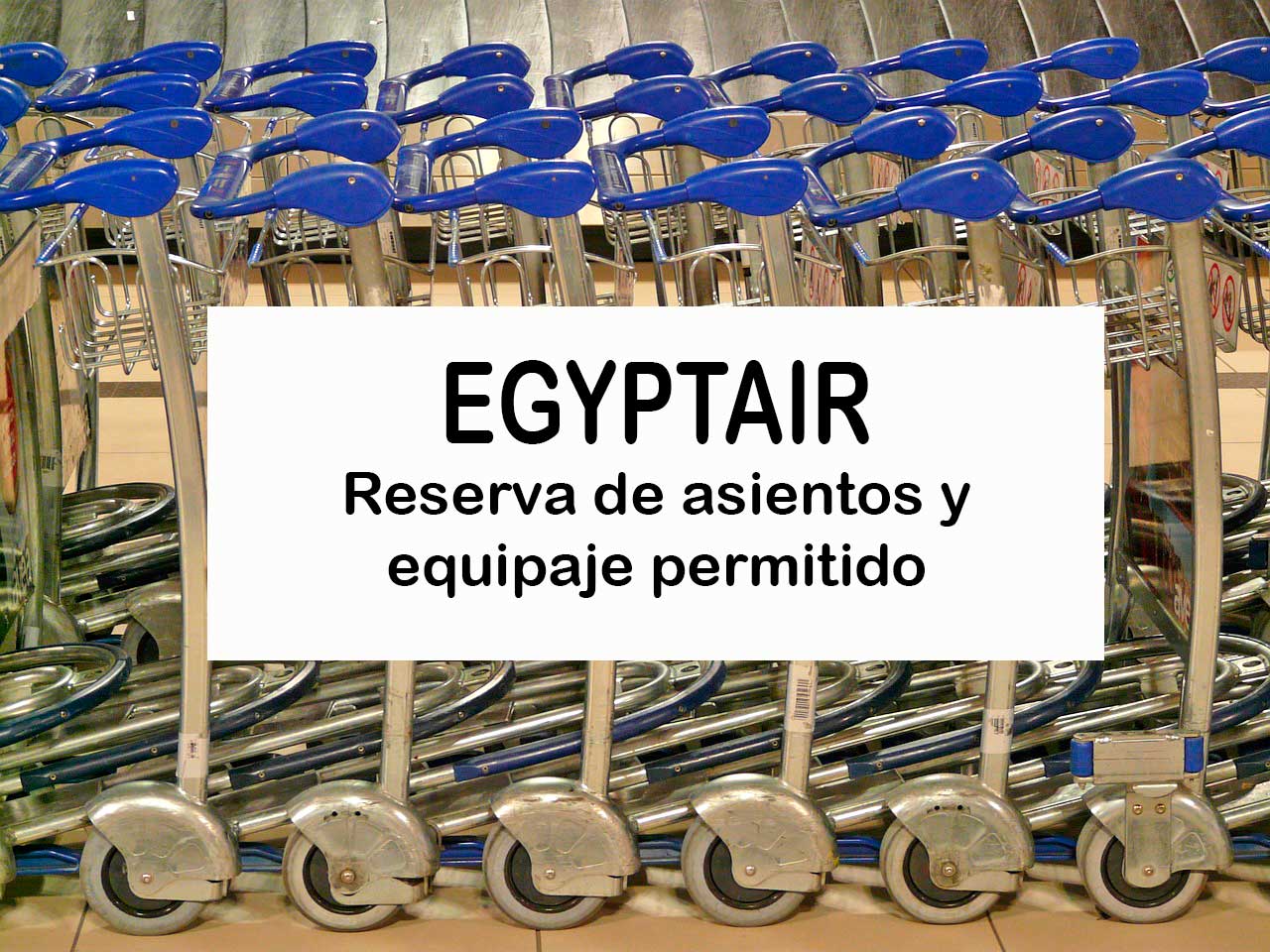 Egyptair: reserva de asientos y equipaje permitido