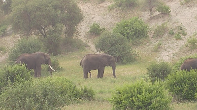 Safari de lujo en Tanzania. Cómo hacer el visado, lodges, tent camps, hoteles coloniales... 45 Safari de lujo en Tanzania. Cómo hacer el visado, lodges, tent camps, hoteles coloniales... 45