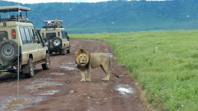 Safari de lujo en Tanzania. Cómo hacer el visado, lodges, tent camps, hoteles coloniales... 48 Safari de lujo en Tanzania. Cómo hacer el visado, lodges, tent camps, hoteles coloniales... 48