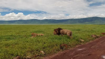 Safari de lujo en Tanzania. Cómo hacer el visado, lodges, tent camps, hoteles coloniales... 50 Safari de lujo en Tanzania. Cómo hacer el visado, lodges, tent camps, hoteles coloniales... 50