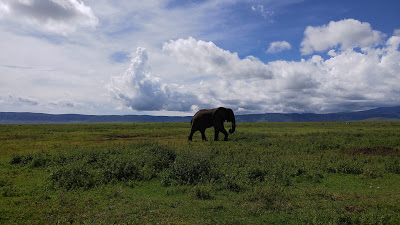 Safari de lujo en Tanzania. Cómo hacer el visado, lodges, tent camps, hoteles coloniales... 53 Safari de lujo en Tanzania. Cómo hacer el visado, lodges, tent camps, hoteles coloniales... 53