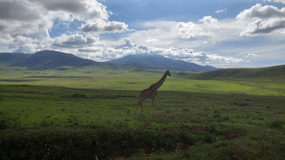 Safari de lujo en Tanzania. Cómo hacer el visado, lodges, tent camps, hoteles coloniales... 56 Safari de lujo en Tanzania. Cómo hacer el visado, lodges, tent camps, hoteles coloniales... 56