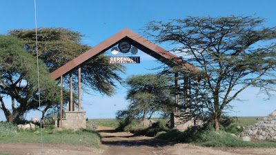 Safari de lujo en Tanzania. Cómo hacer el visado, lodges, tent camps, hoteles coloniales... 52 Safari de lujo en Tanzania. Cómo hacer el visado, lodges, tent camps, hoteles coloniales... 52