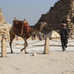 ¿Por qué Egipto es un viaje que recomendamos siempre ? 6 ¿Por qué Egipto es un viaje que recomendamos siempre ? 5