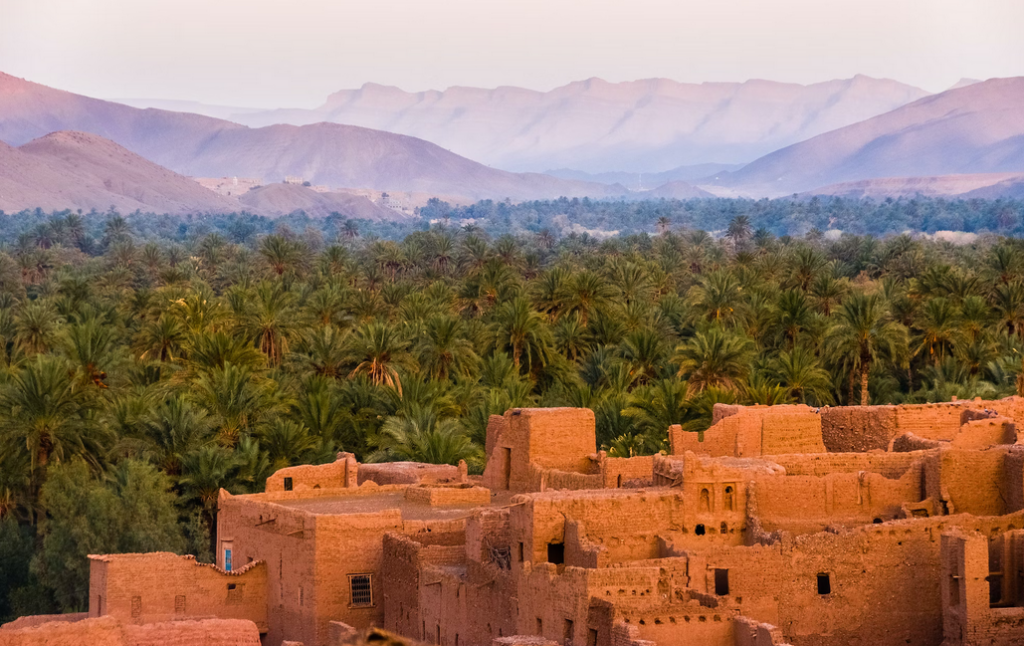 El Atlas de Marruecos, Palmeral y Ciudad antigua