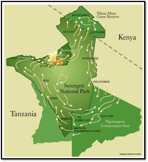 Mapa Migración Tanzania
