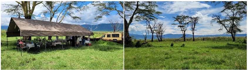 Carpa par acomer en Ngorongoro Crater. Naturaleza, a su máximo esplendor por Tanzania.
