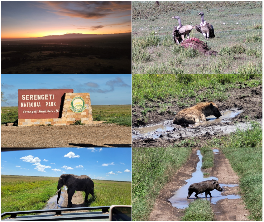 Parque Nacional del Serengeti en Tanzania