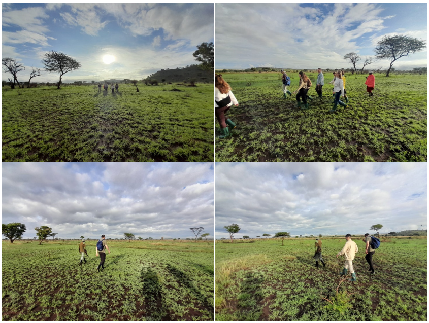 Walking Safari, camina y disfruta de  Grumeti Hills Tanzania