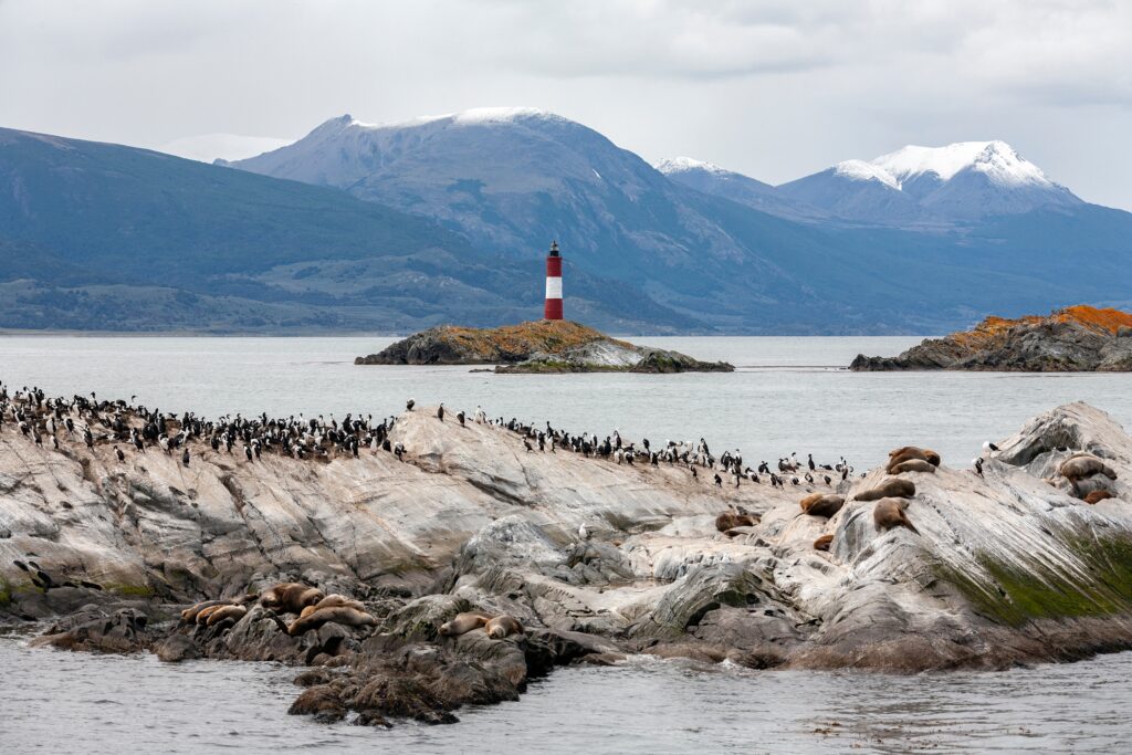 Mi ruta por Argentina: un viaje entre glaciares, cataratas y el fin del mundo 5